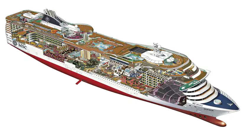msc divina cross section