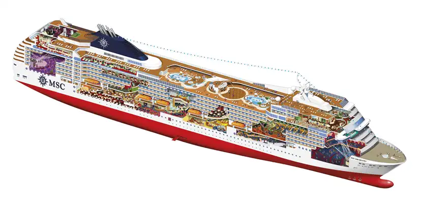 msc orchestra cross section